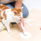 🔥Clay Pet Paw Abformset