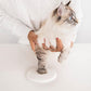 🔥Clay Pet Paw Abformset