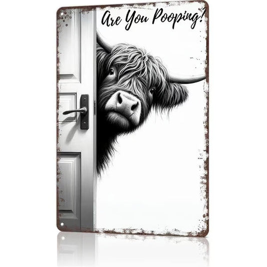 Lustiges Hochlandrind-Metallschild „Are You Pooping“ (Machst du gerade in die Hose?