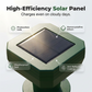 Solar Powered Ultrasonic Mole Repeller Stake