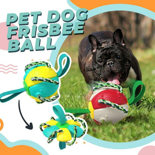 🐶Pelota Frisbee para perros